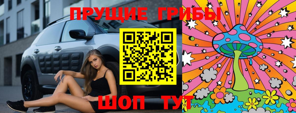Гусиноозёрск  Псилоцибиновые грибы Magic Shrooms  закладки  Вход с VPN 