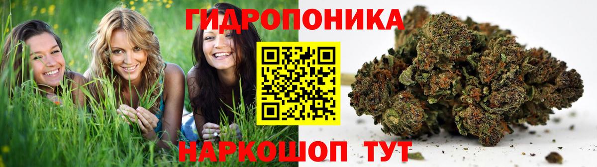 Бошки марихуана VHQ Гусиноозёрск